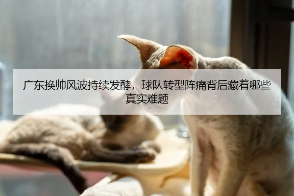广东换帅风波持续发酵，球队转型阵痛背后藏着哪些真实难题